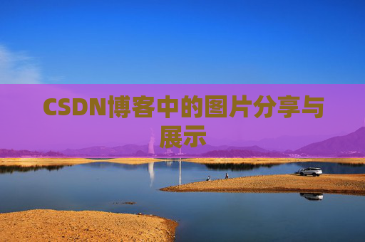 CSDN博客中的图片分享与展示
